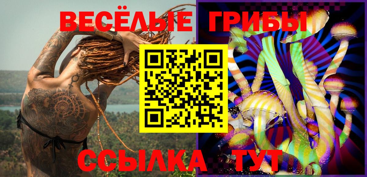 хочу наркоту  Галлюциногенные грибы ЛСД  Вход с VPN  Родники 